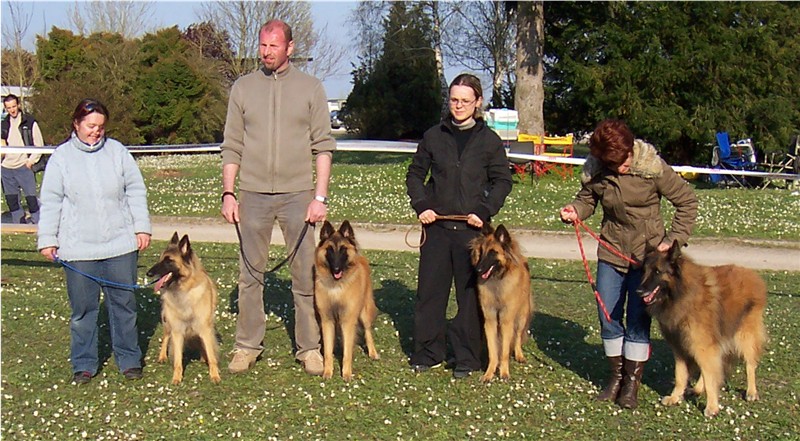 2007-04-07Ingre.jpg - De gauche à droite : Uba, ses fils Bax et Byron, et leur père Saturne des canis du brabant